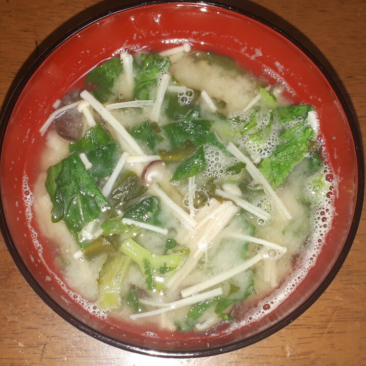 春菊とえのきと椎茸のお味噌汁